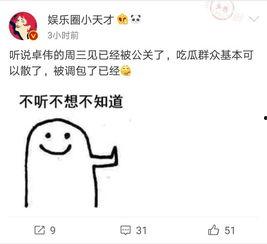 回忆卓伟爆料视频大全最新,揭秘娱乐圈幕后真相